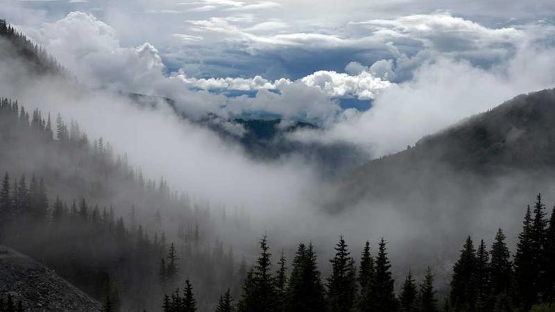 Canlı Casino ve Bahis Deneyimi