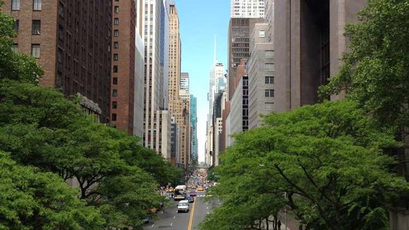 Napolyonbet Canlı Casino